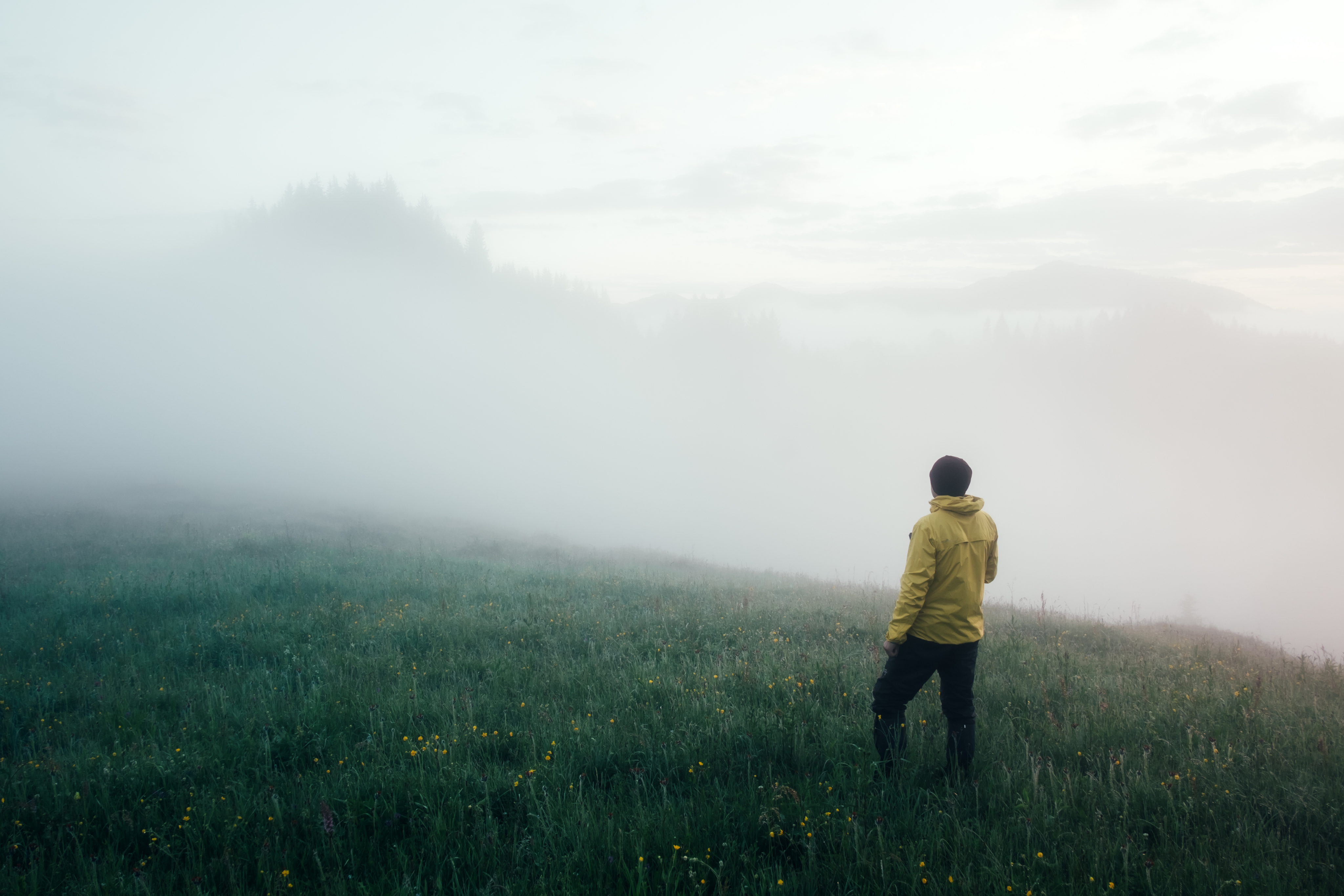 A person walking through a calm, foggy field