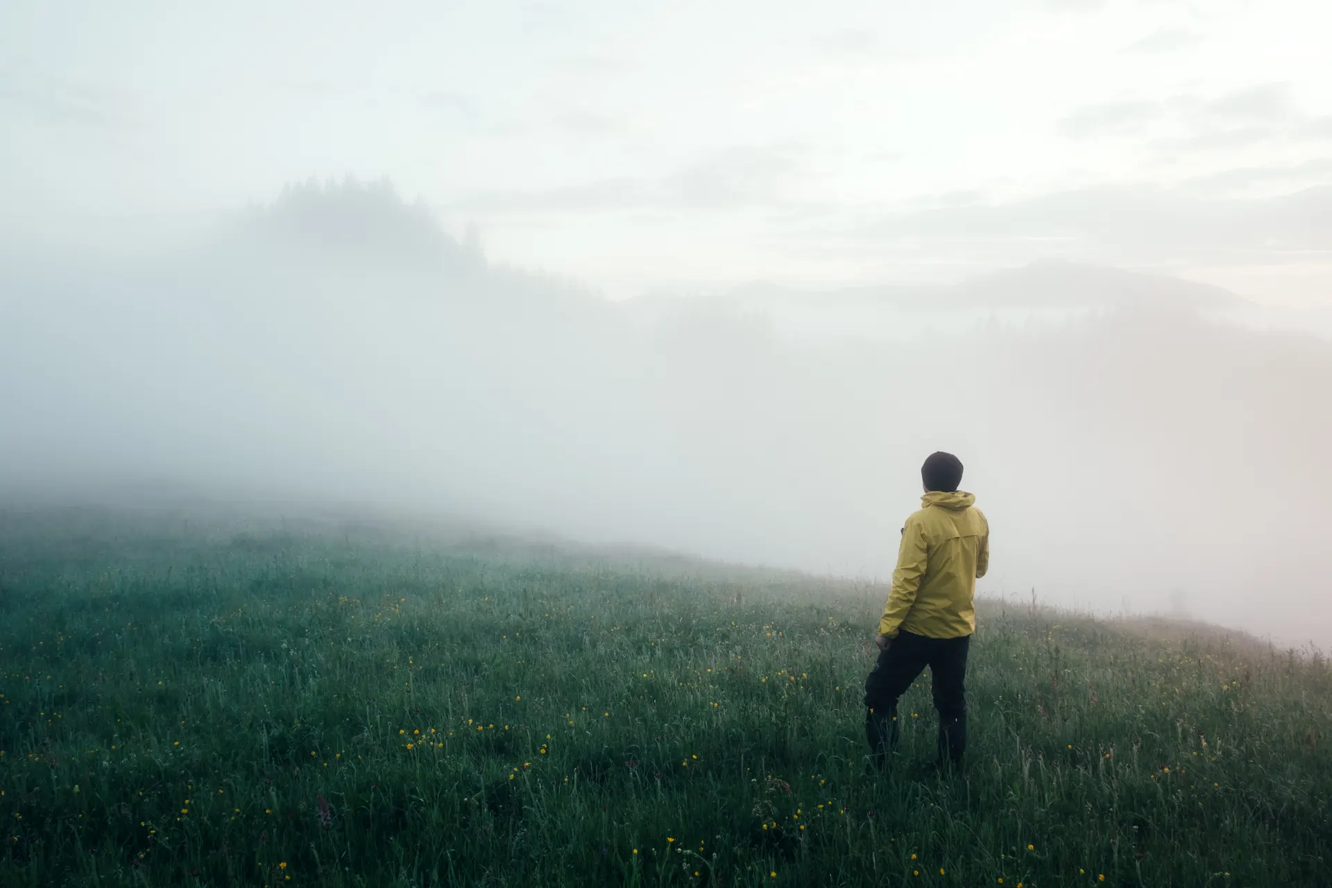 A person standing in a calm, foggy field